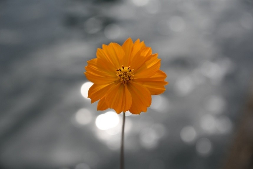 20260928201616633994.png 图片12.png